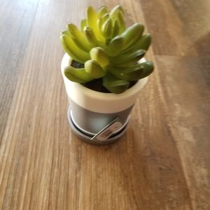 Bath and Body Works Succulent Desk Pocketbac Holder